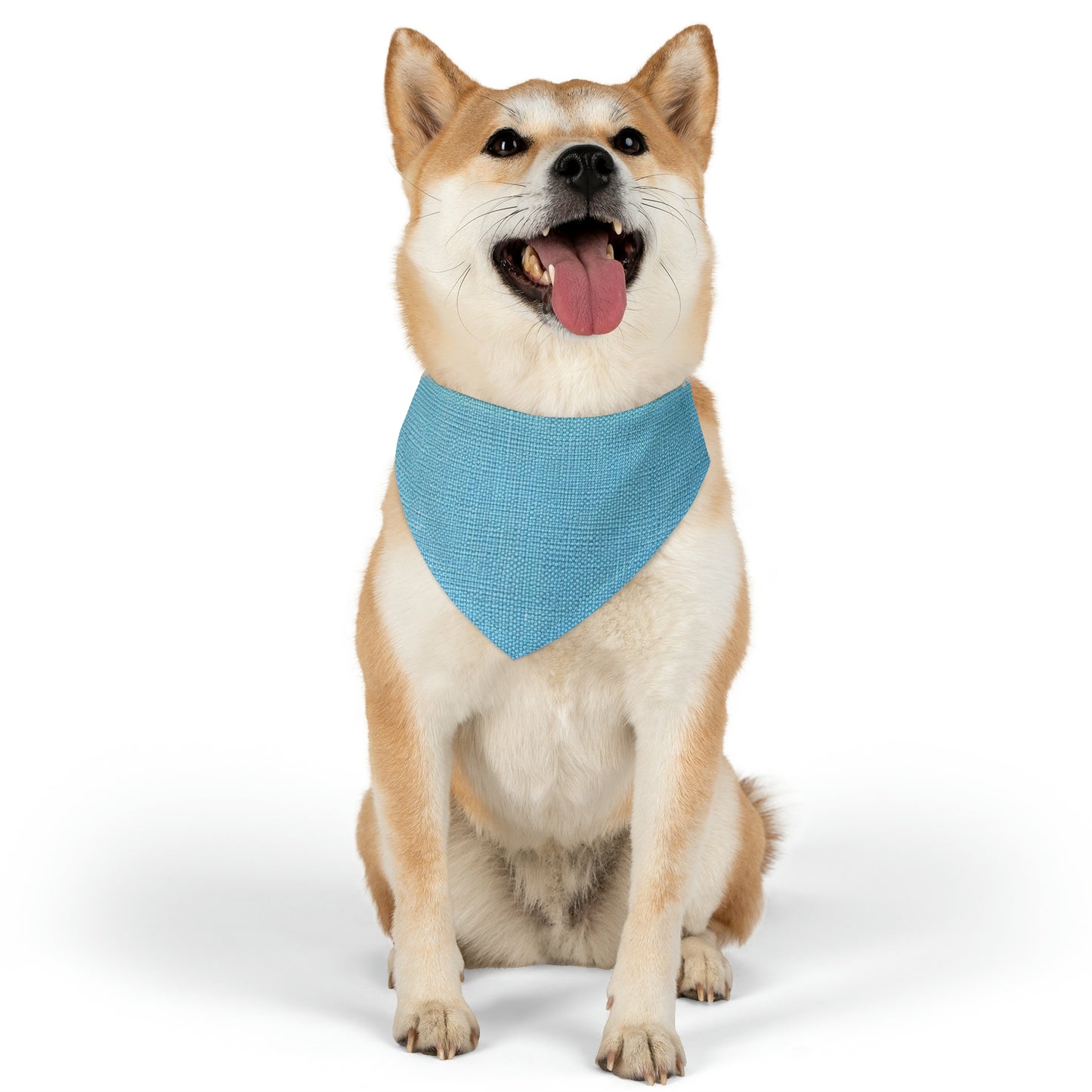 Bright Aqua Teal: Denim-Inspired Refreshing Blue Summer Fabric - Dog & Pet Bandana Collar