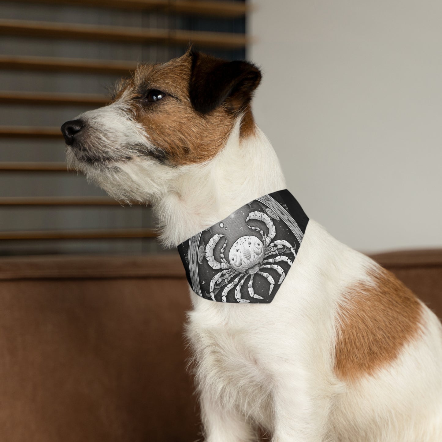 Cáncer Signo del Zodíaco Horóscopo de Astrología Cósmica - Collar Bandana para Mascotas