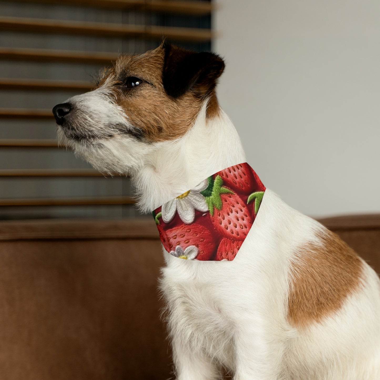 Strawberry Strawberries Embroidery Design - Fresh Pick Red Berry Sweet Fruit - Pet Bandana Collar