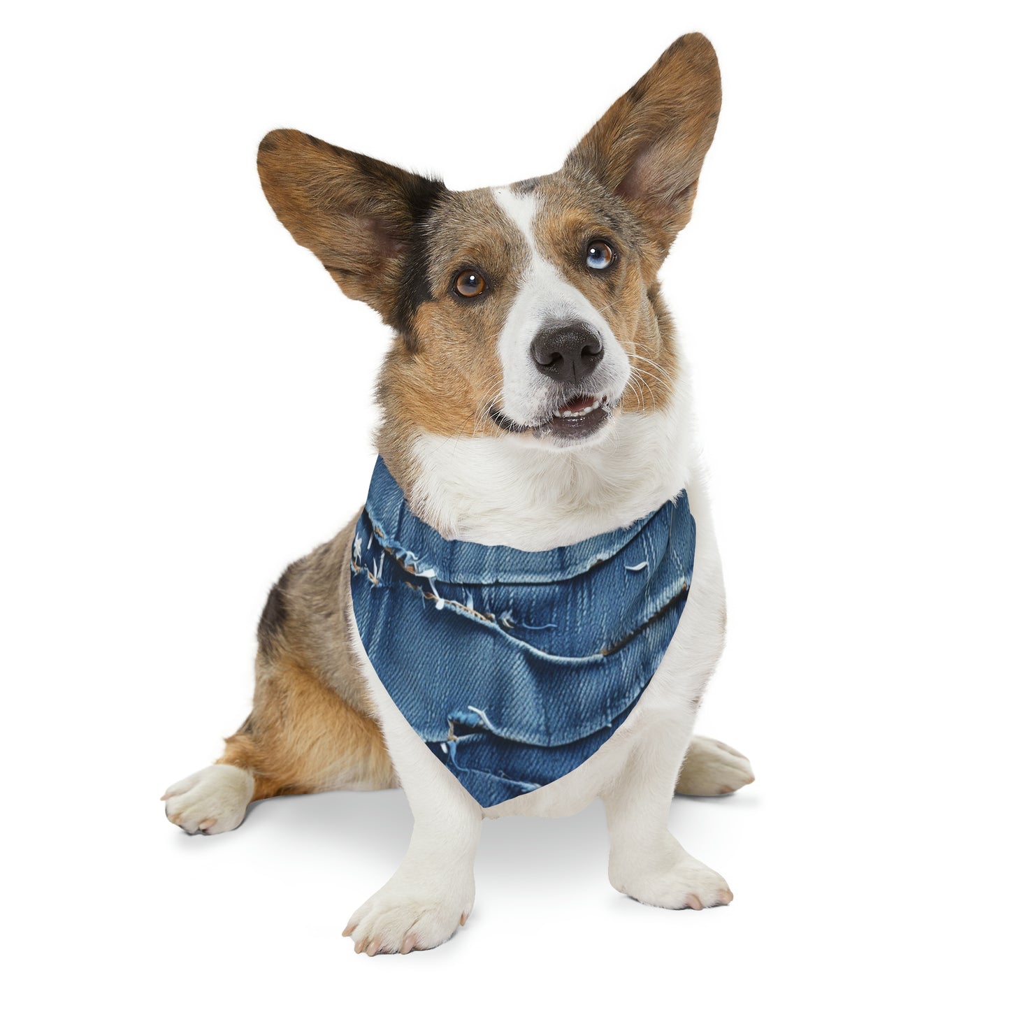 Midnight Blue Distressed Denim: Rugged, Torn & Stylish Design - Dog & Pet Bandana Collar