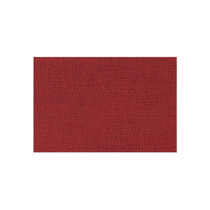 Bold Ruby Red: Denim-Inspired, Passionate Fabric Style - Outdoor Rug