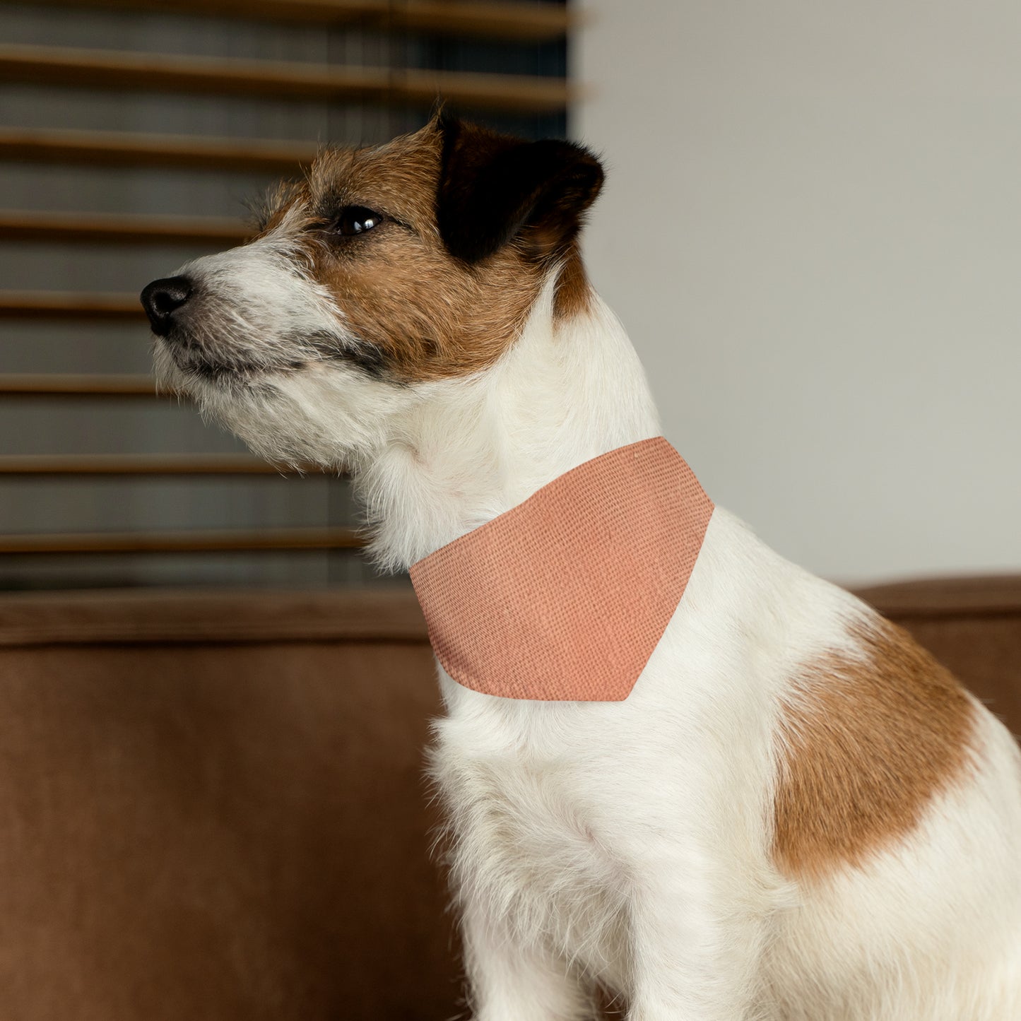 Soft Pink-Orange Peach: Denim-Inspired, Lush Fabric - Pet Bandana Collar