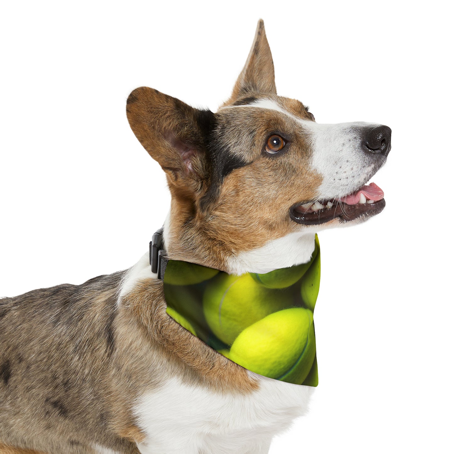 Tennis Ball Sport: Athlete Court Action, Rally & Serve - Dog & Pet Bandana Collar