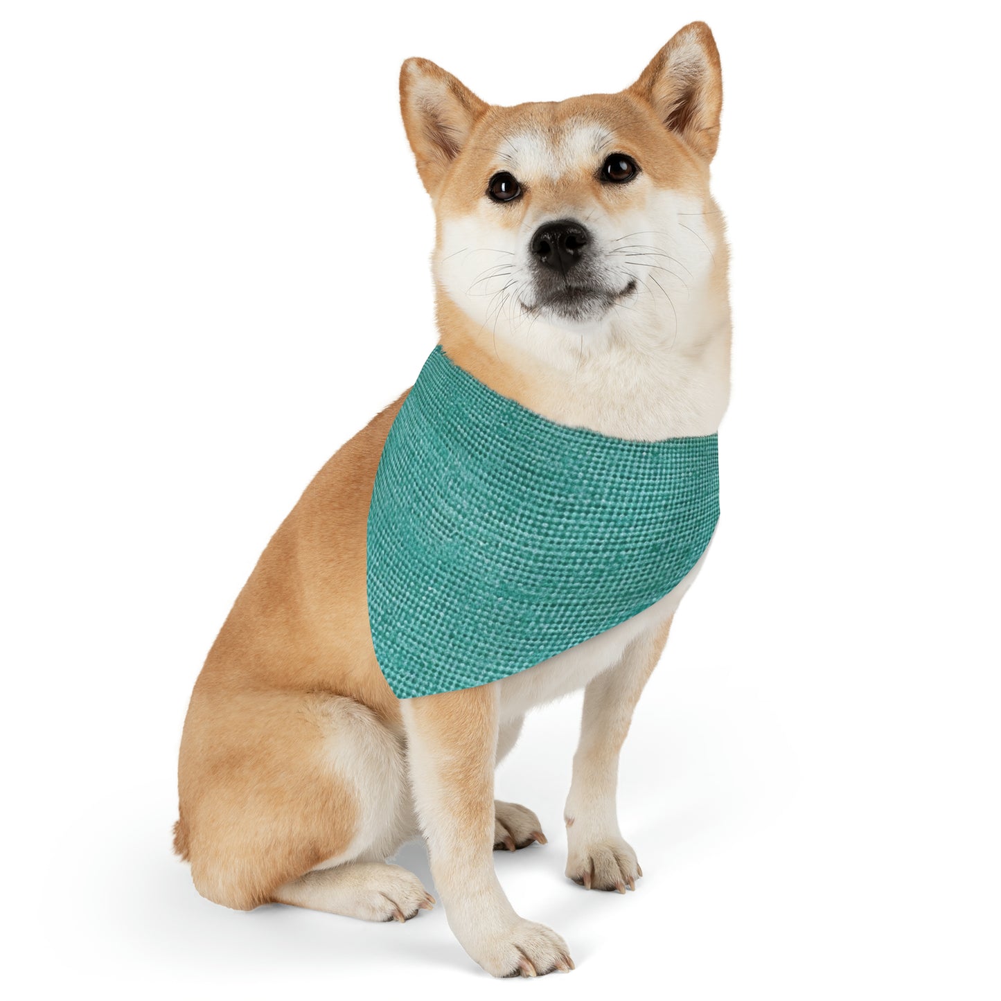 Diseño de tela vaquera color turquesa menta de calidad, material elegante, collar tipo bandana para mascotas 