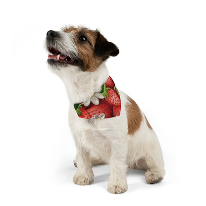 Strawberry Strawberries Embroidery Design - Fresh Pick Red Berry Sweet Fruit - Pet Bandana Collar