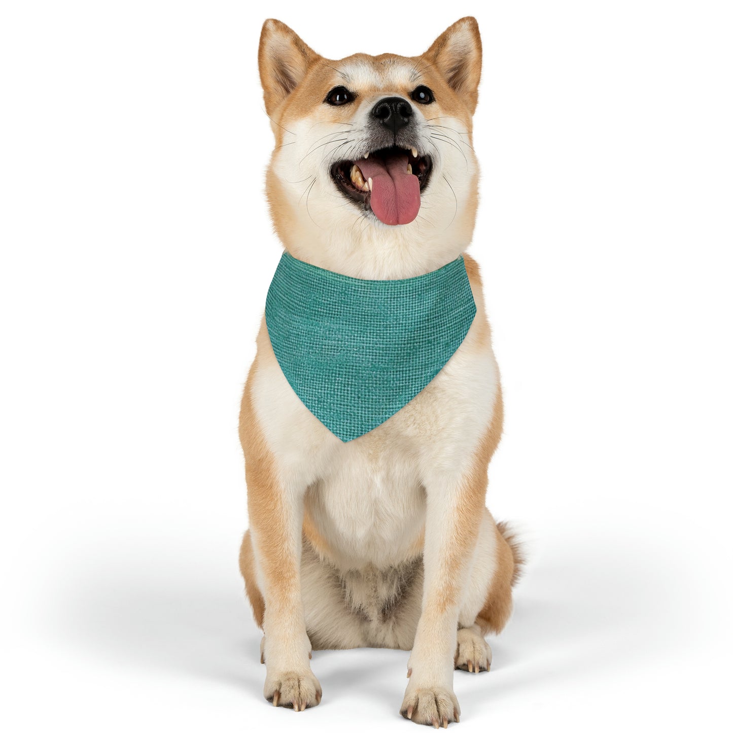 Diseño de tela vaquera color turquesa menta de calidad, material elegante, collar tipo bandana para mascotas 