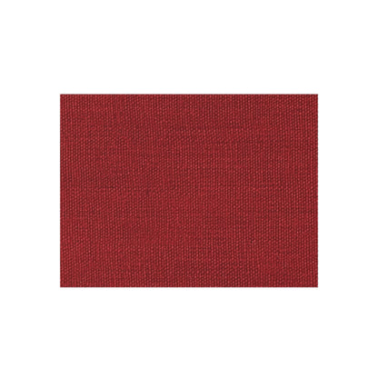 Bold Ruby Red: Denim-Inspired, Passionate Fabric Style - Outdoor Rug