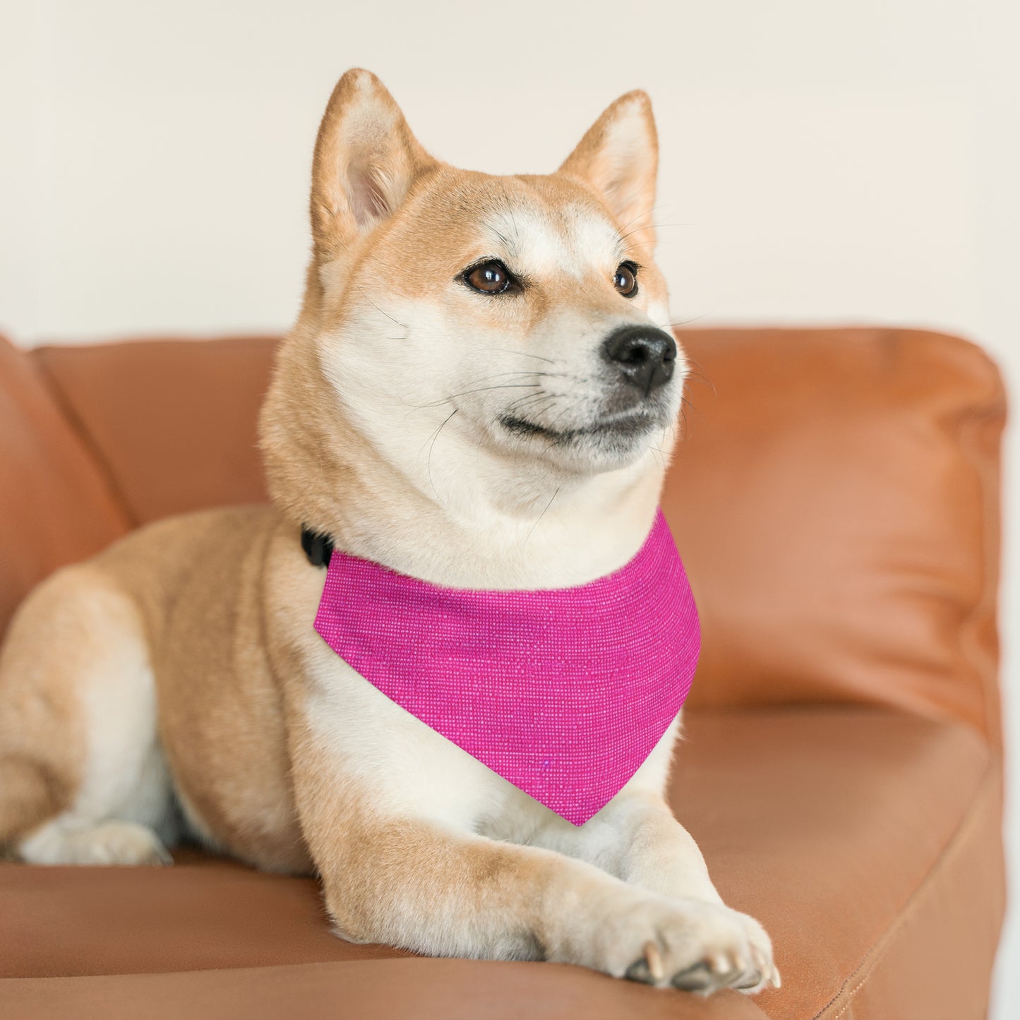 Hot Neon Pink Doll Like: Denim-Inspired, Bold & Bright Fabric - Dog & Pet Bandana Collar