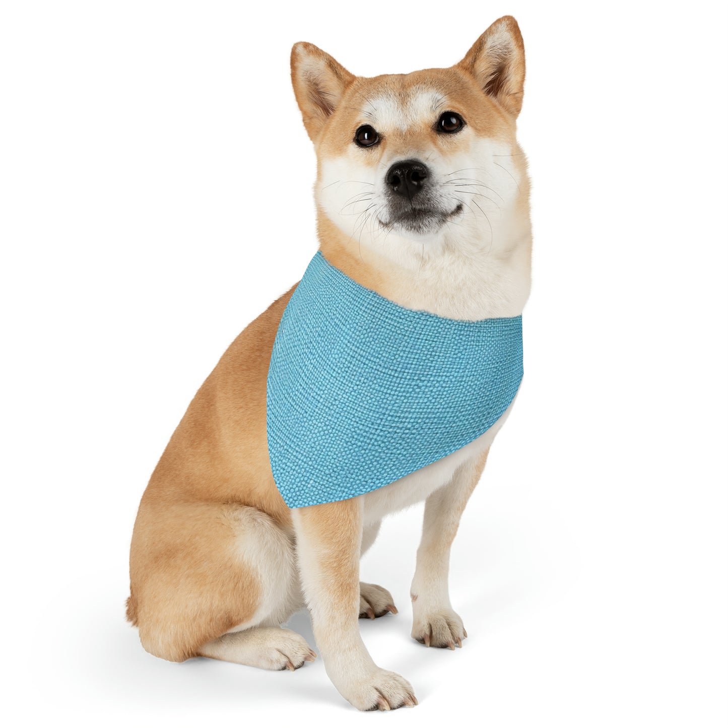 Bright Aqua Teal: Denim-Inspired Refreshing Blue Summer Fabric - Dog & Pet Bandana Collar