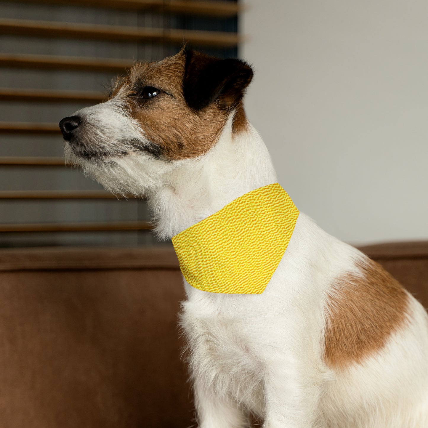 Sunshine Yellow Lemon: Denim-Inspired, Cheerful Fabric - Dog & Pet Bandana Collar