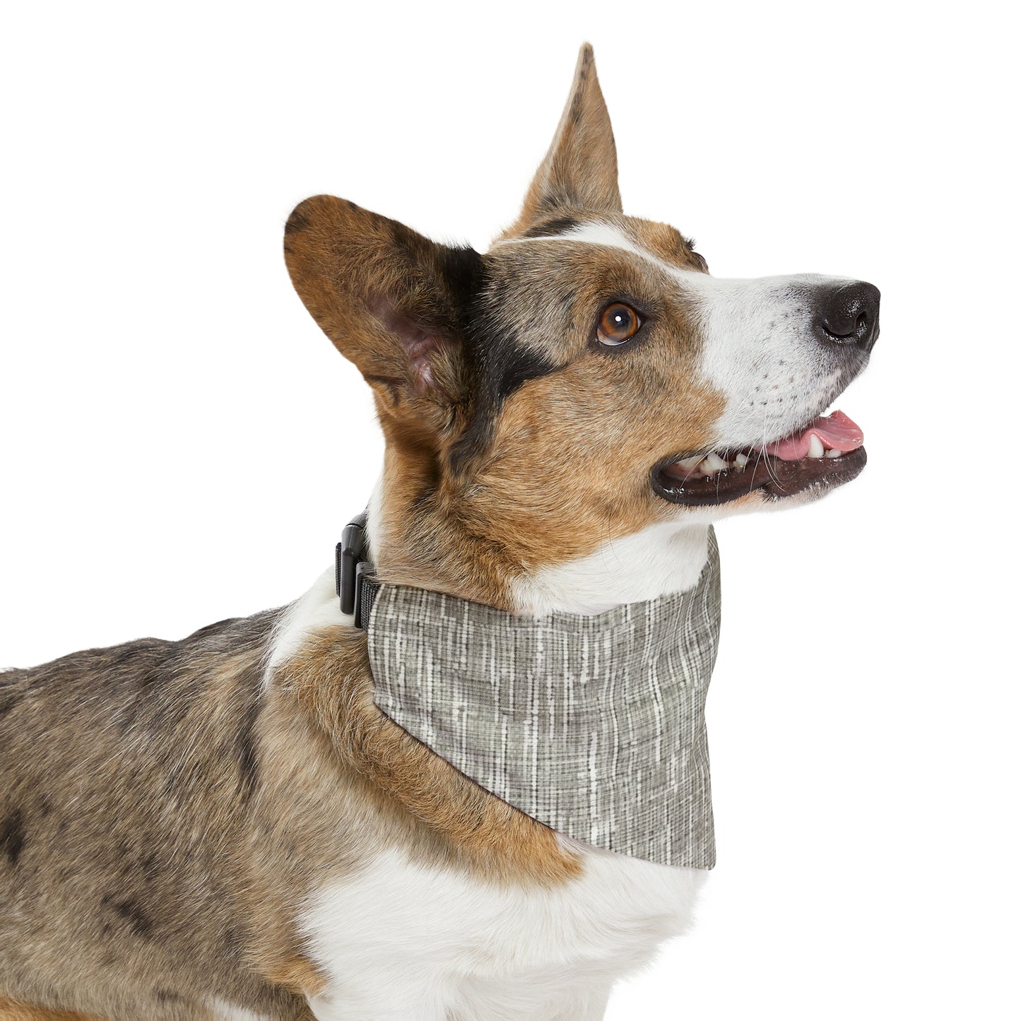 Silver Grey: Denim-Inspired, Contemporary Fabric Design - Dog & Pet Bandana Collar