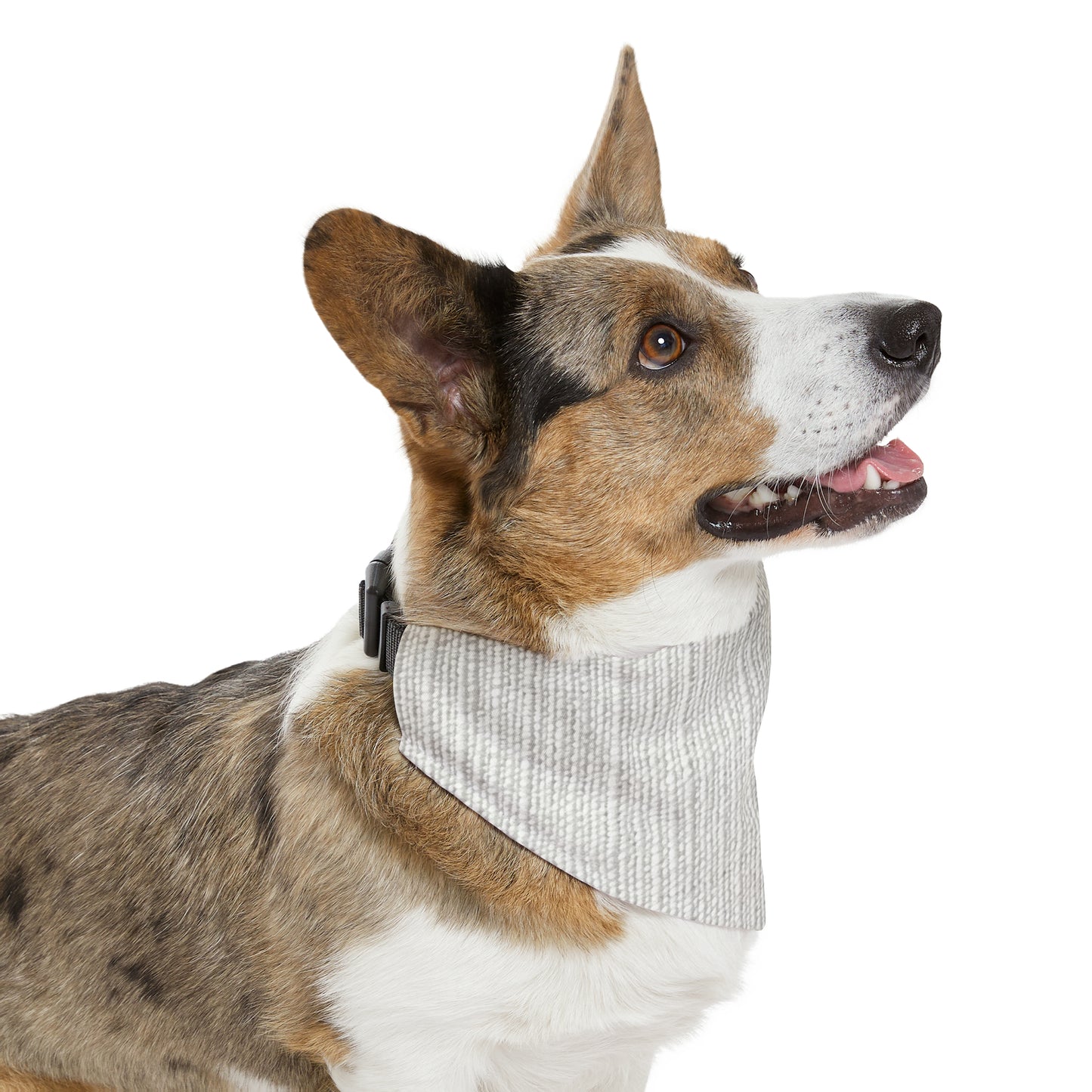 Chic White Denim-Style Fabric, Luxurious & Stylish Material - Dog & Pet Bandana Collar