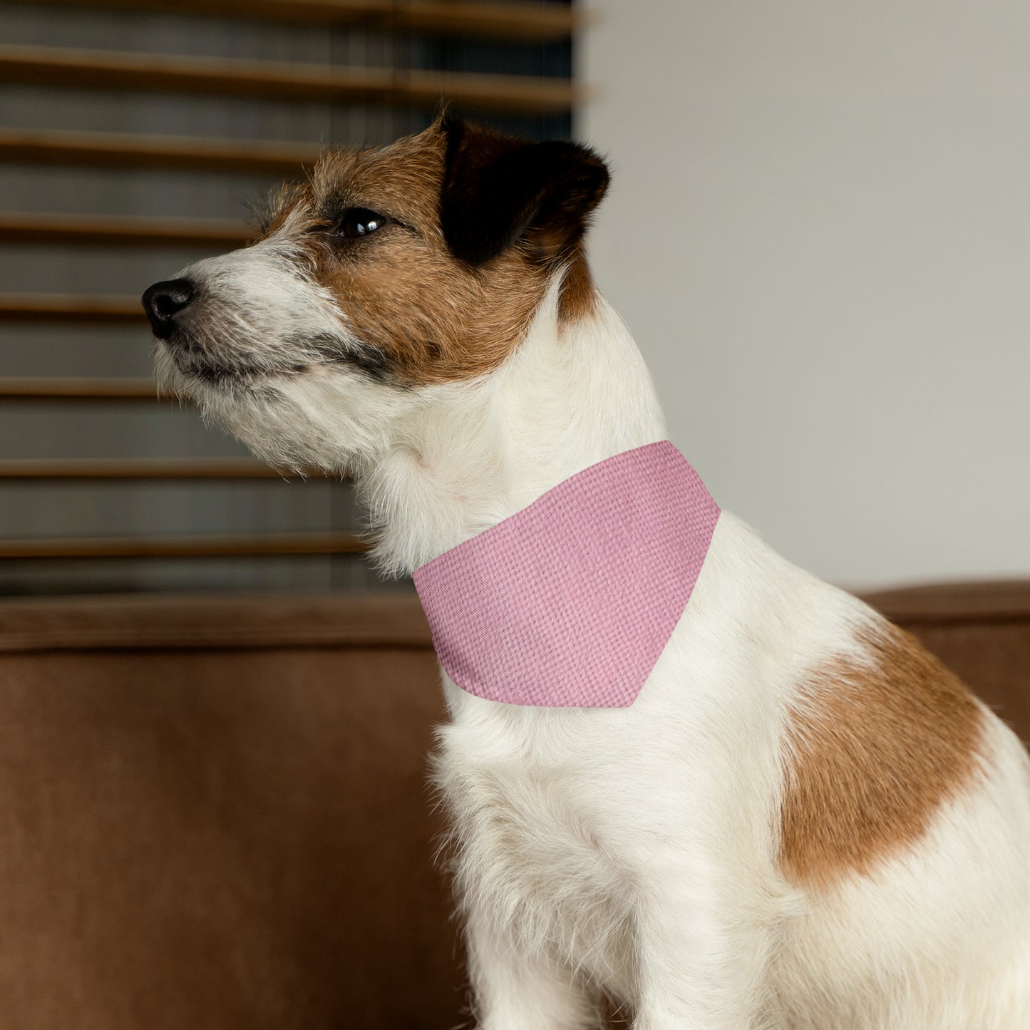 Blushing Garment Dye Pink: Denim-Inspired, Soft-Toned Fabric - Pet Bandana Collar