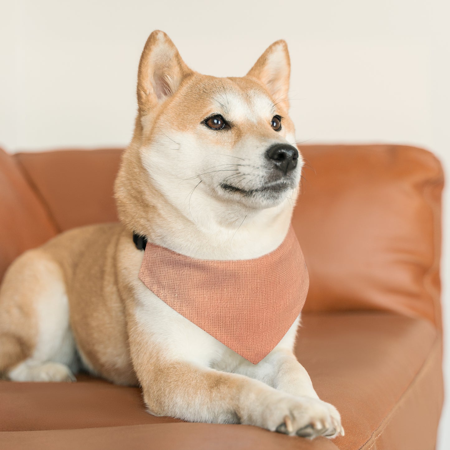 Soft Pink-Orange Peach: Denim-Inspired, Lush Fabric - Pet Bandana Collar