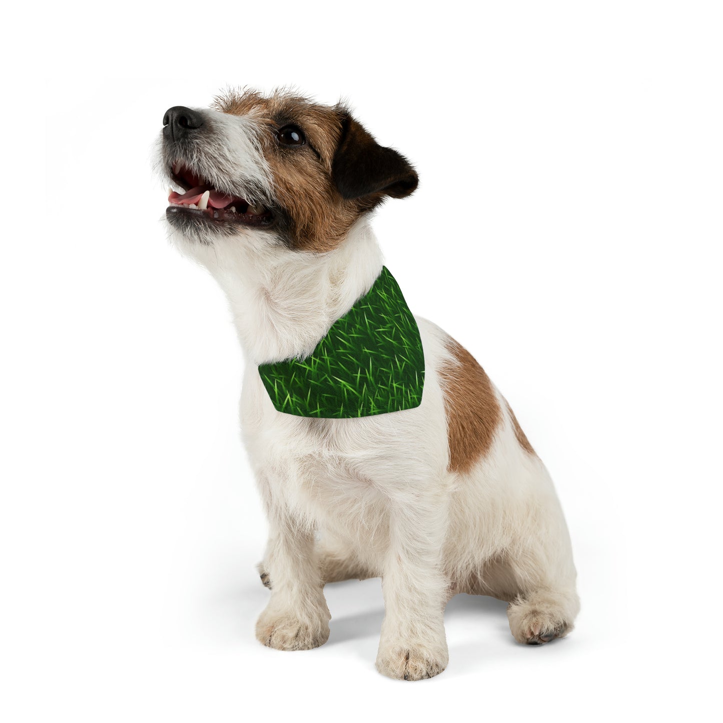 Touch Grass Indoor Style Outdoor Green Artificial Grass Turf - Dog & Pet Bandana Collar