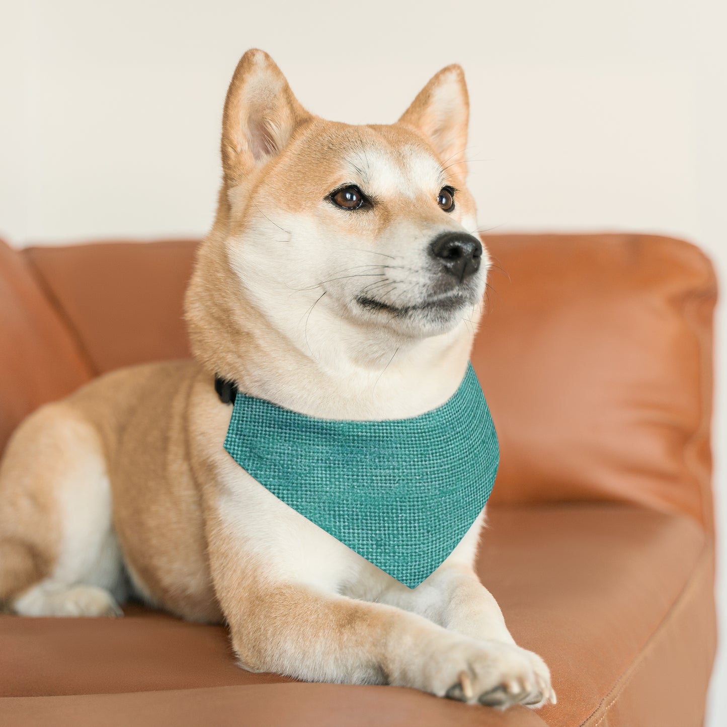 Diseño de tela vaquera color turquesa menta de calidad, material elegante, collar tipo bandana para mascotas 