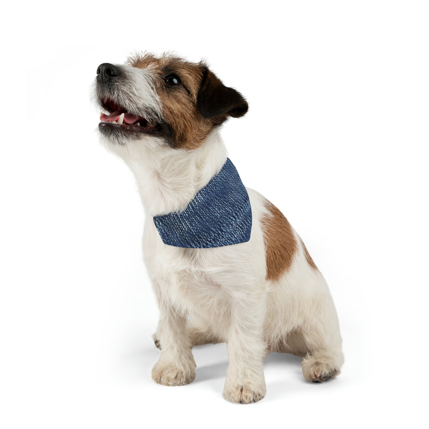 Indigo blue jean Denim Design Pattern Style - Pet Bandana Collar