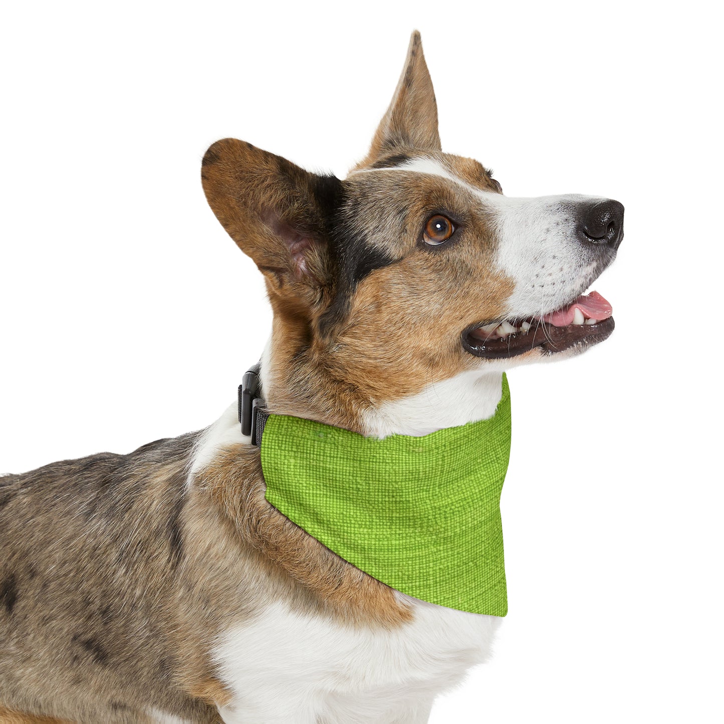 Lush Grass Neon Green: Denim-Inspired, Springtime Fabric Style - Dog & Pet Bandana Collar