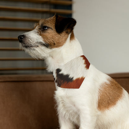 Hair Cowhide Leather Natural Design Tough Durable Rugged Style - Dog & Pet Bandana Collar