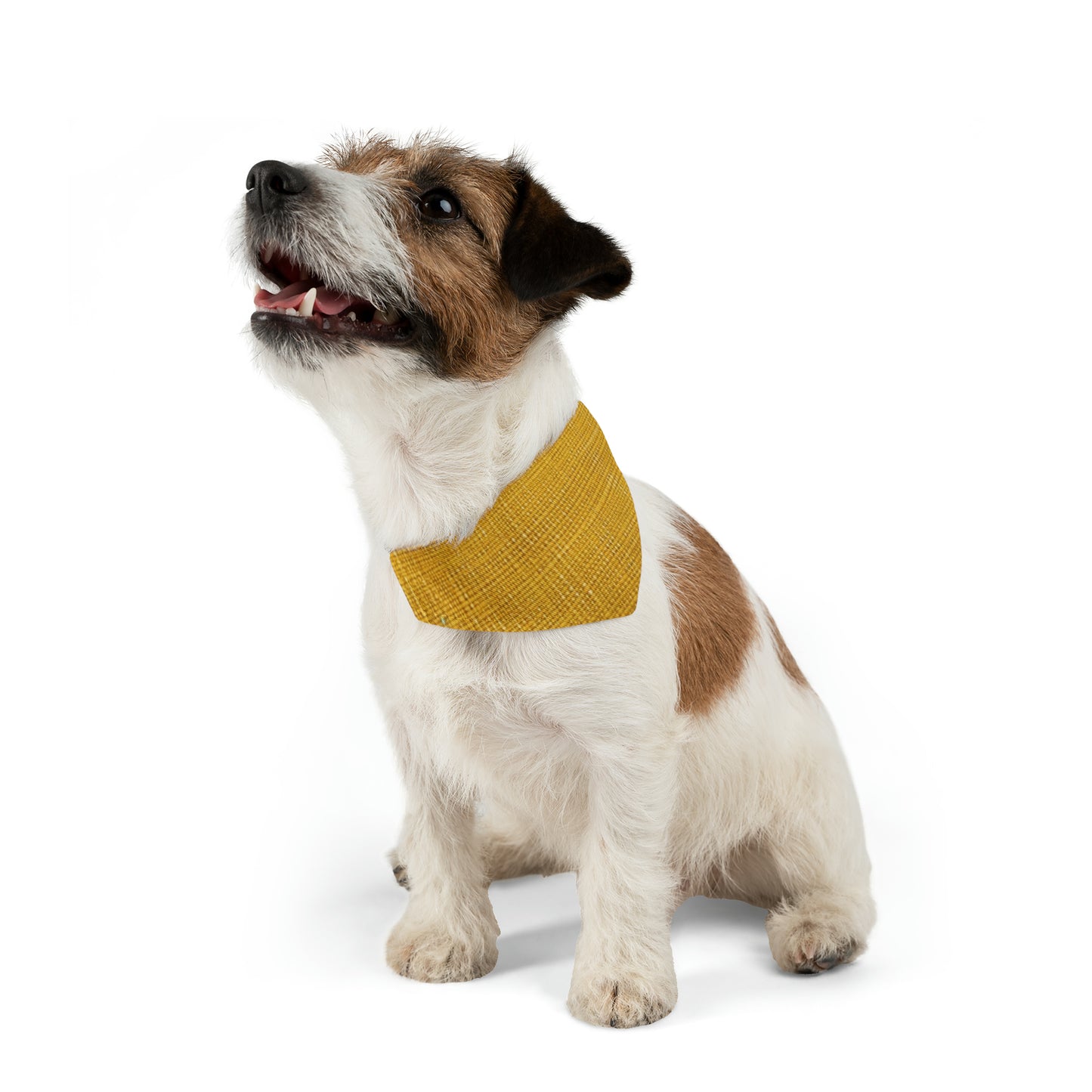 Radiant Sunny Yellow: Denim-Inspired Summer Fabric - Dog & Pet Bandana Collar