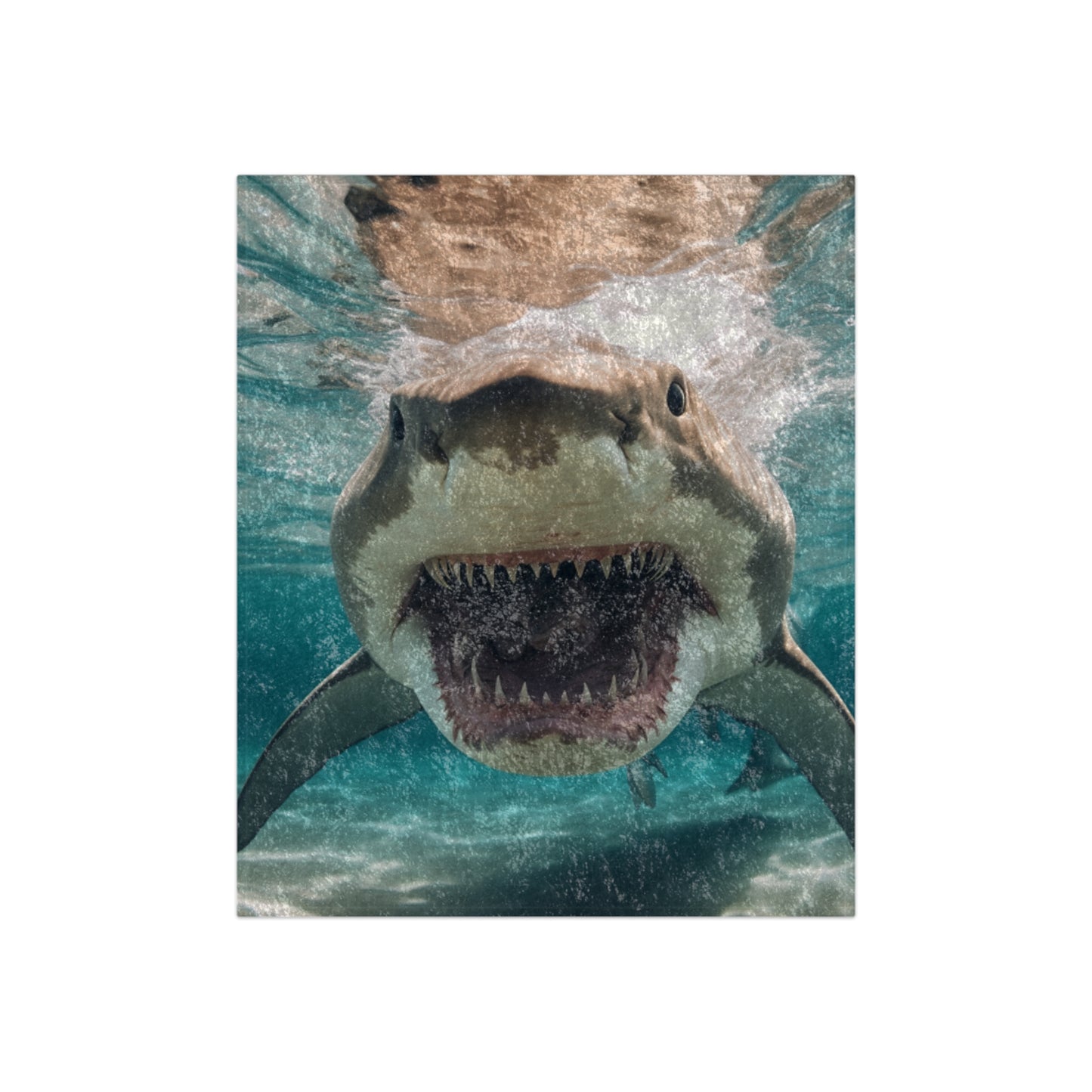 Bull Shark: River Monster Menace - Realistic Dark Water Predator - Crushed Velvet Blanket