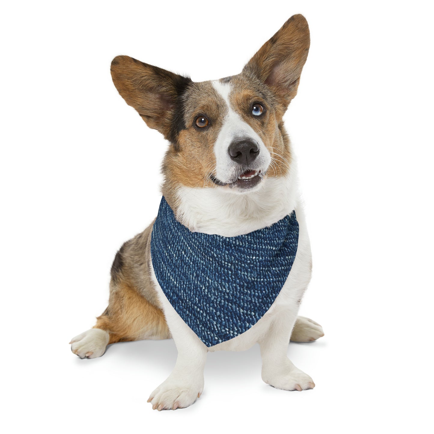 Denim-Inspired Design - Distinct Textured Fabric Pattern - Pet Bandana Collar