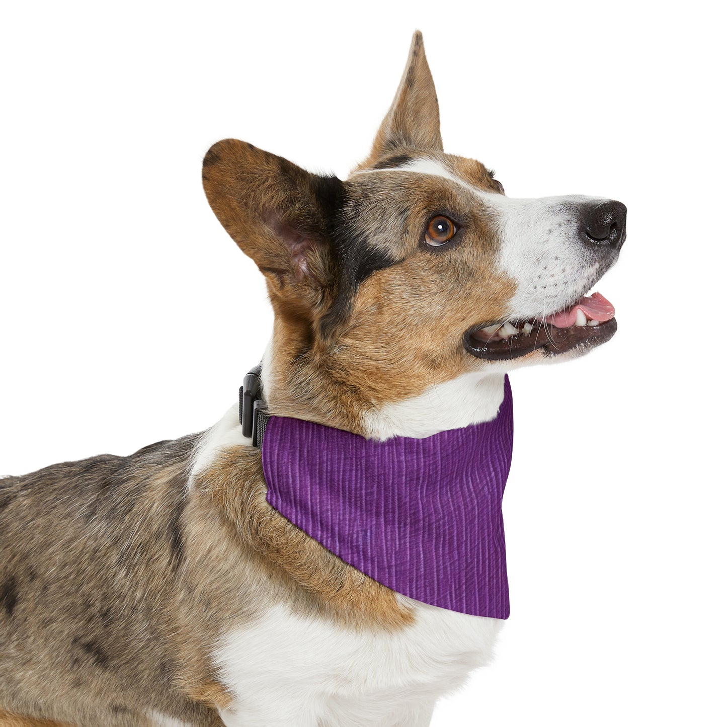 Violeta/Ciruela/Púrpura: Tela lujosa inspirada en la mezclilla - Collar tipo bandana para perros y mascotas 