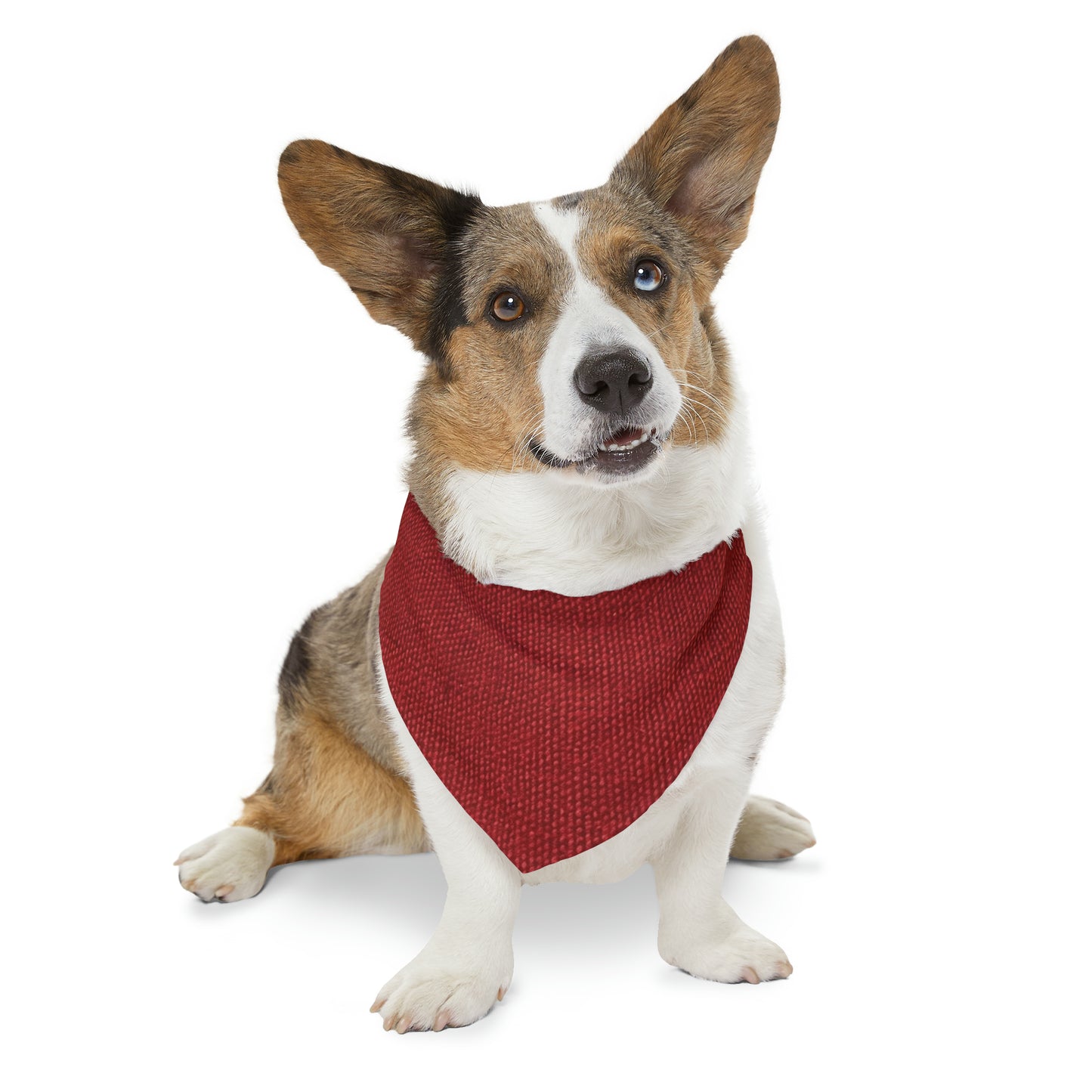 Bold Ruby Red: Denim-Inspired, Passionate Fabric Style - Pet Bandana Collar