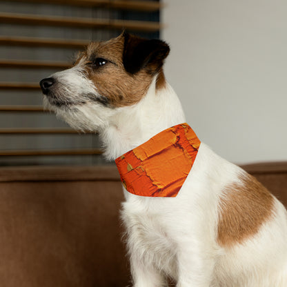 Fiery Citrus Orange: Edgy Distressed, Denim-Inspired Fabric - Dog & Pet Bandana Collar