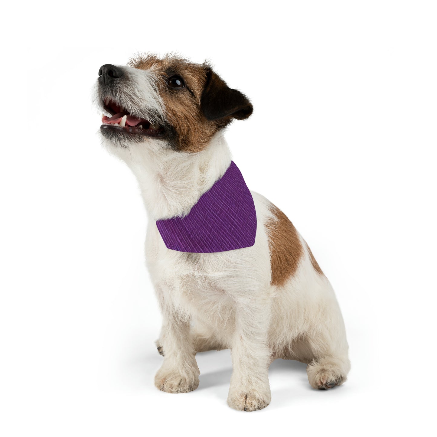 Violeta/Ciruela/Púrpura: Tela lujosa inspirada en la mezclilla - Collar tipo bandana para perros y mascotas 