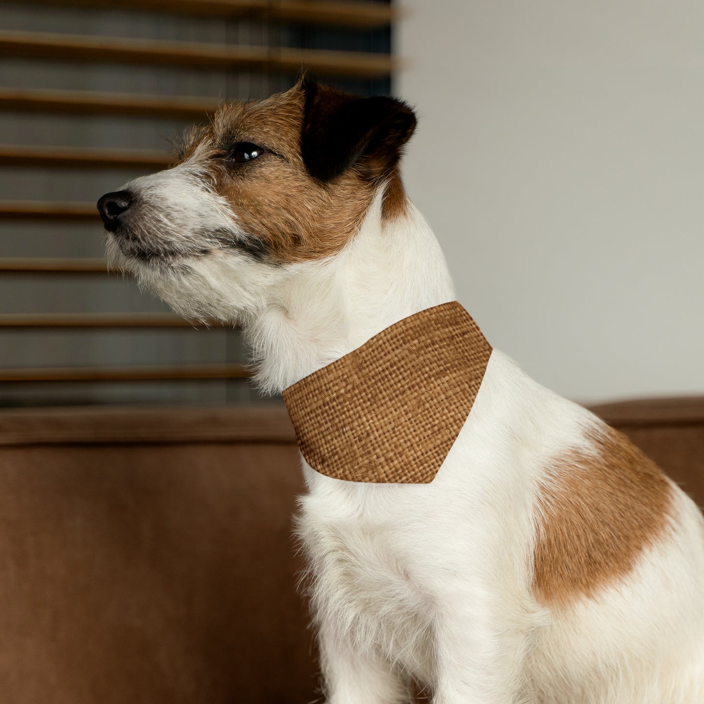 Brown Light Chocolate: Denim-Inspired Elegant Fabric - Dog & Pet Bandana Collar