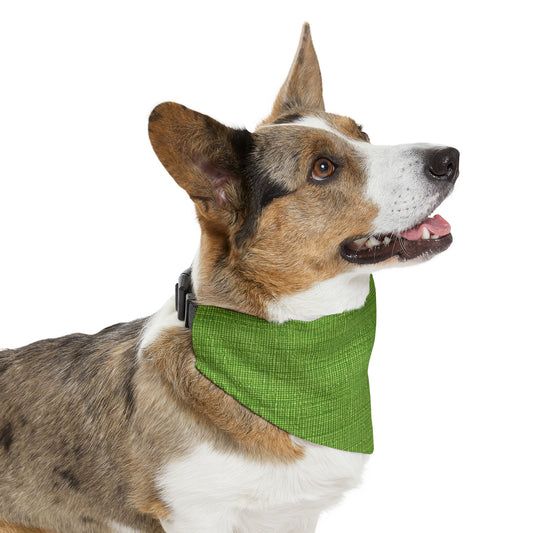 Olive Green Denim-Style: Seamless, Textured Fabric - Pet Bandana Collar