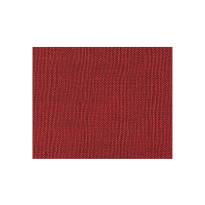 Bold Ruby Red: Denim-Inspired, Passionate Fabric Style - Outdoor Rug