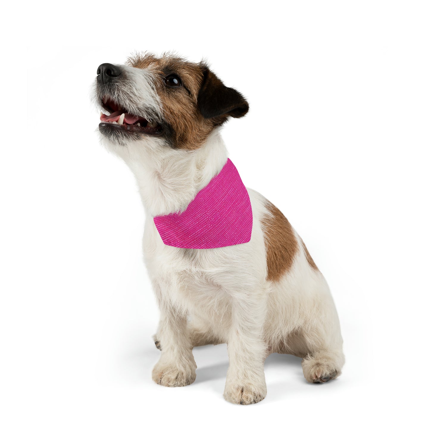 Muñeca rosa neón intenso: tela brillante, llamativa e inspirada en la mezclilla - Collar tipo bandana para perros y mascotas 