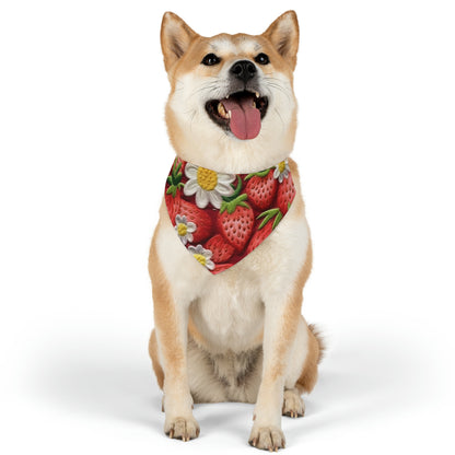 Strawberry Strawberries Embroidery Design - Fresh Pick Red Berry Sweet Fruit - Pet Bandana Collar