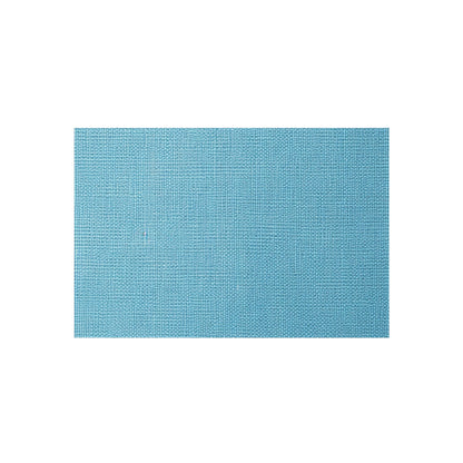 Bright Aqua Teal: Denim-Inspired Refreshing Blue Summer Fabric - Outdoor Rug