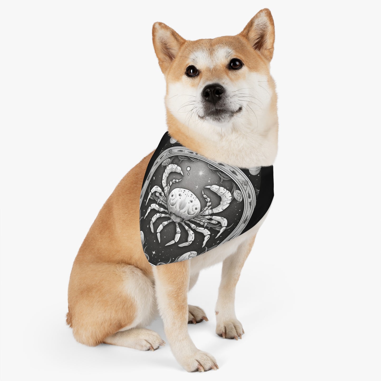 Cáncer Signo del Zodíaco Horóscopo de Astrología Cósmica - Collar Bandana para Mascotas