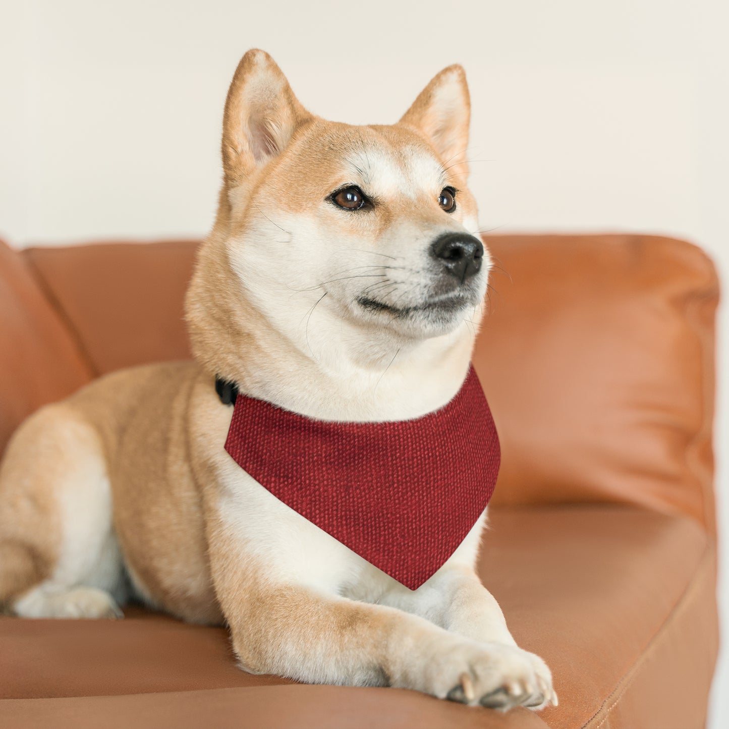 Bold Ruby Red: Denim-Inspired, Passionate Fabric Style - Pet Bandana Collar