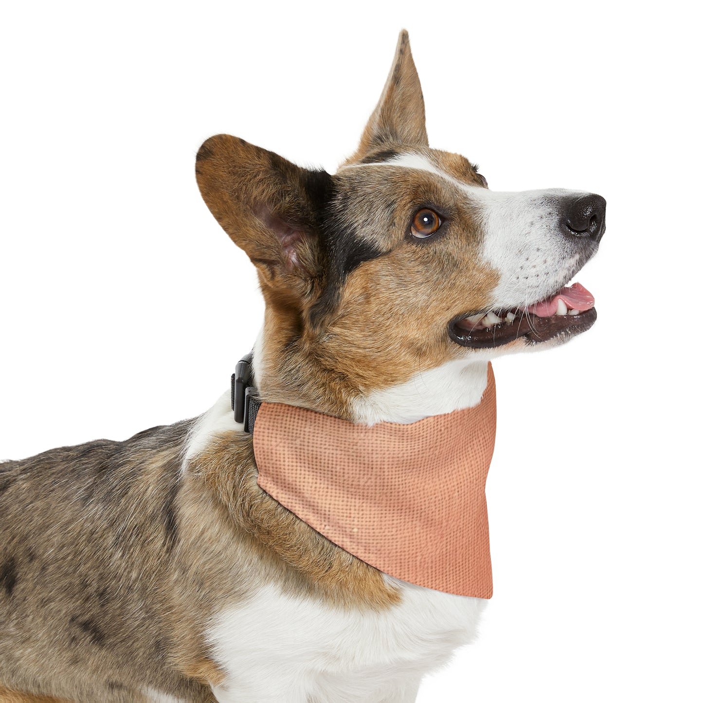 Soft Pink-Orange Peach: Denim-Inspired, Lush Fabric - Pet Bandana Collar