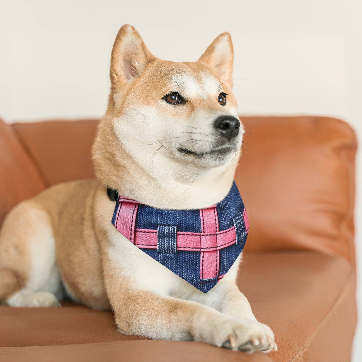 Candy-Striped Crossover: Pink Denim Ribbons Dancing on Blue Stage - Dog & Pet Bandana Collar