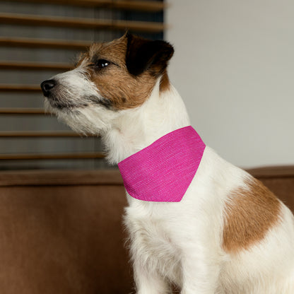 Hot Neon Pink Doll Like: Denim-Inspired, Bold & Bright Fabric - Dog & Pet Bandana Collar