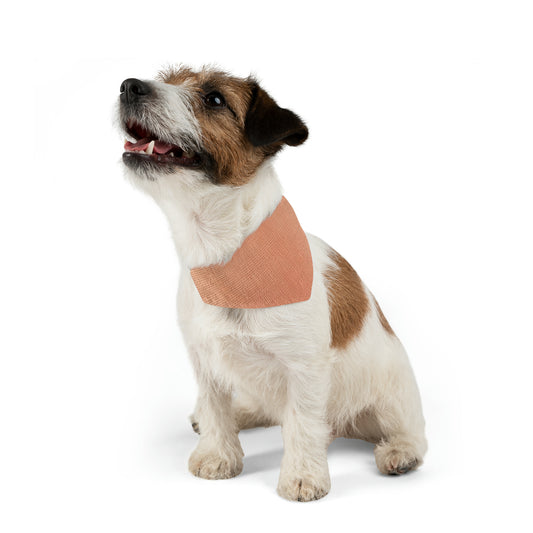 Soft Pink-Orange Peach: Denim-Inspired, Lush Fabric - Pet Bandana Collar