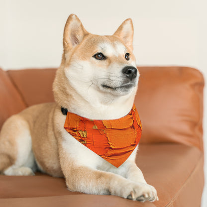 Fiery Citrus Orange: Edgy Distressed, Denim-Inspired Fabric - Dog & Pet Bandana Collar