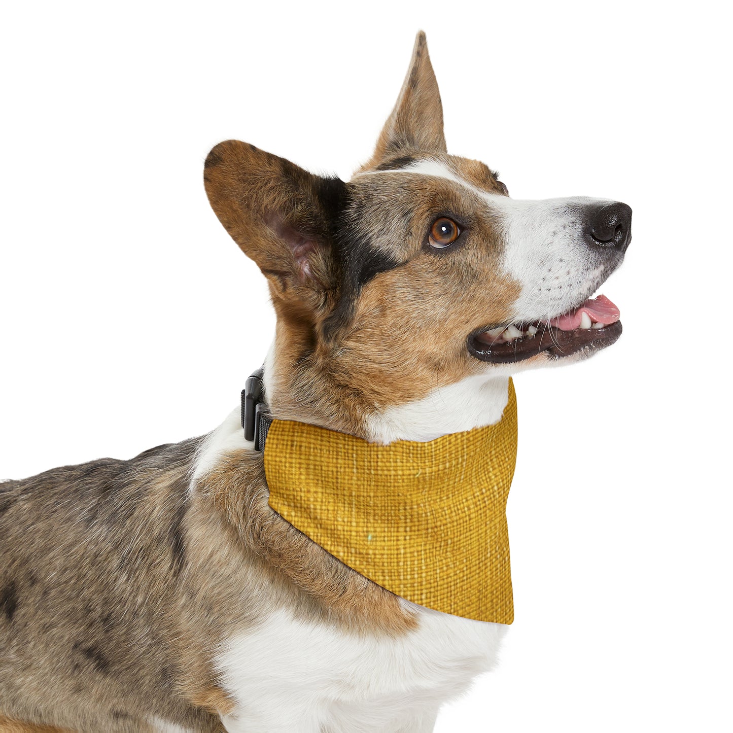 Radiant Sunny Yellow: Denim-Inspired Summer Fabric - Dog & Pet Bandana Collar