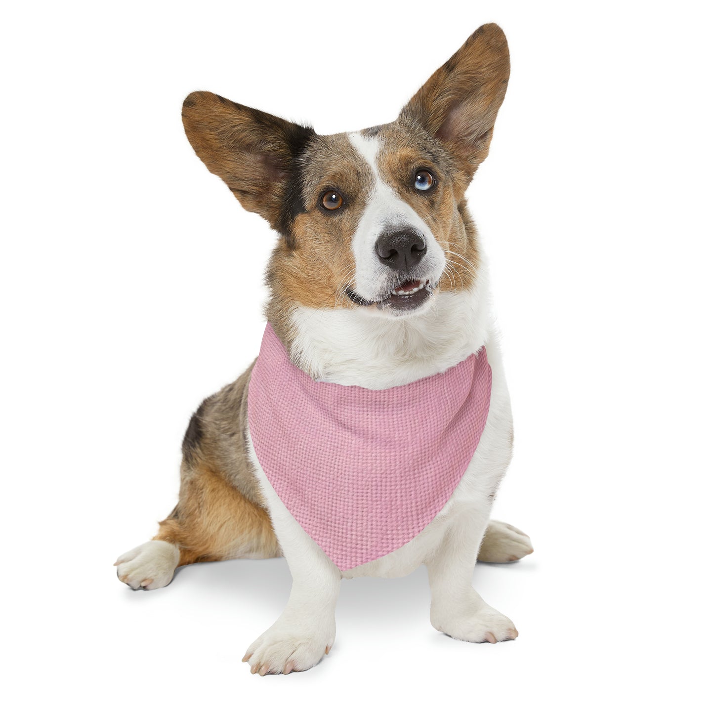 Blushing Garment Dye Pink: Denim-Inspired, Soft-Toned Fabric - Pet Bandana Collar
