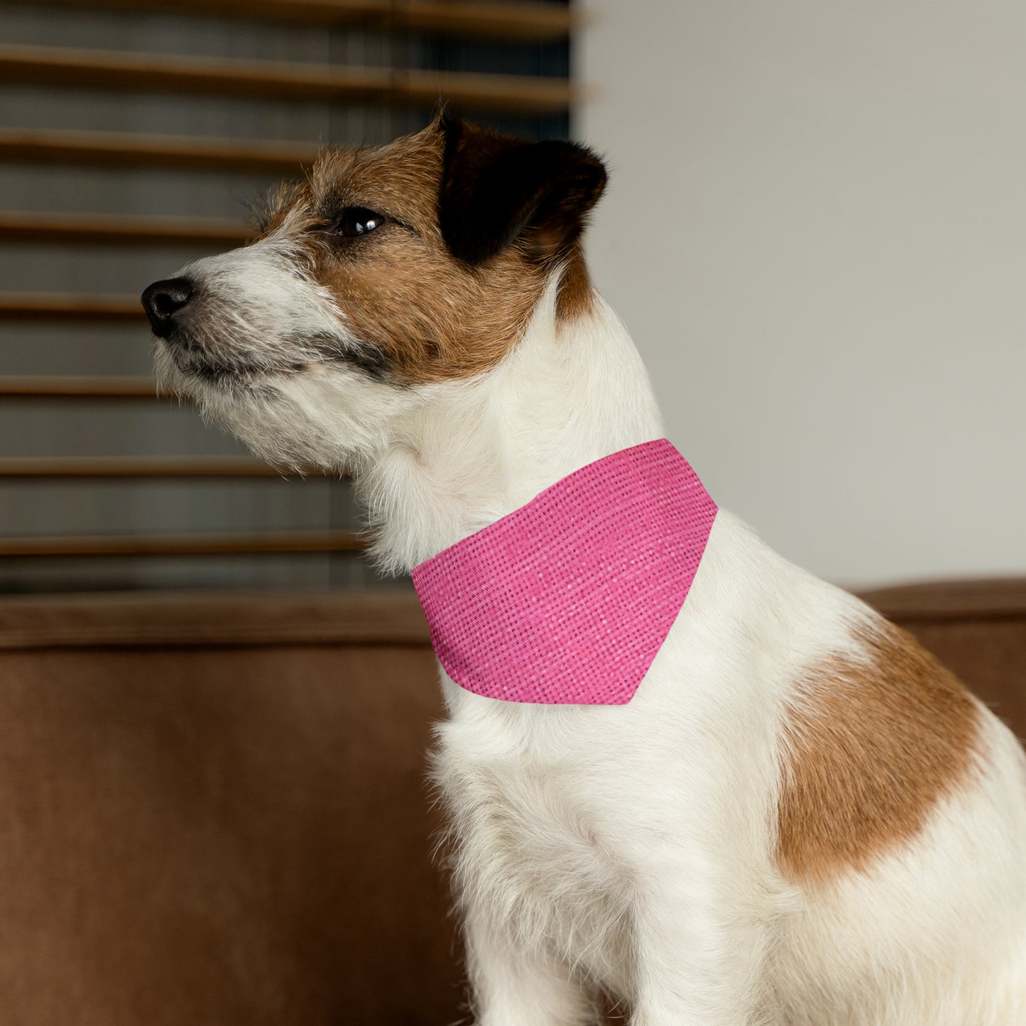 Doll-Like Pink Denim Designer Fabric Style - Pet Bandana Collar