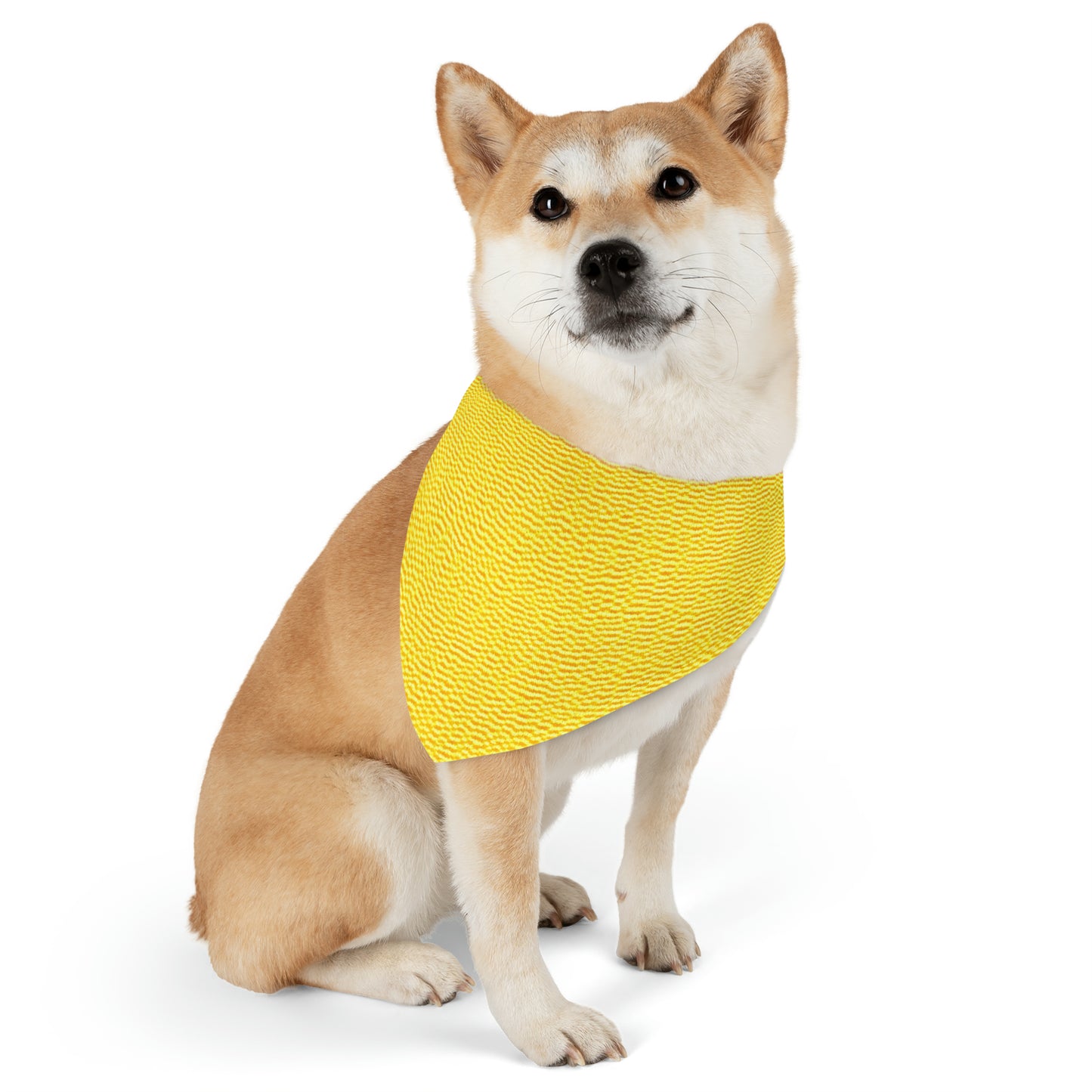 Sunshine Yellow Lemon: Denim-Inspired, Cheerful Fabric - Dog & Pet Bandana Collar