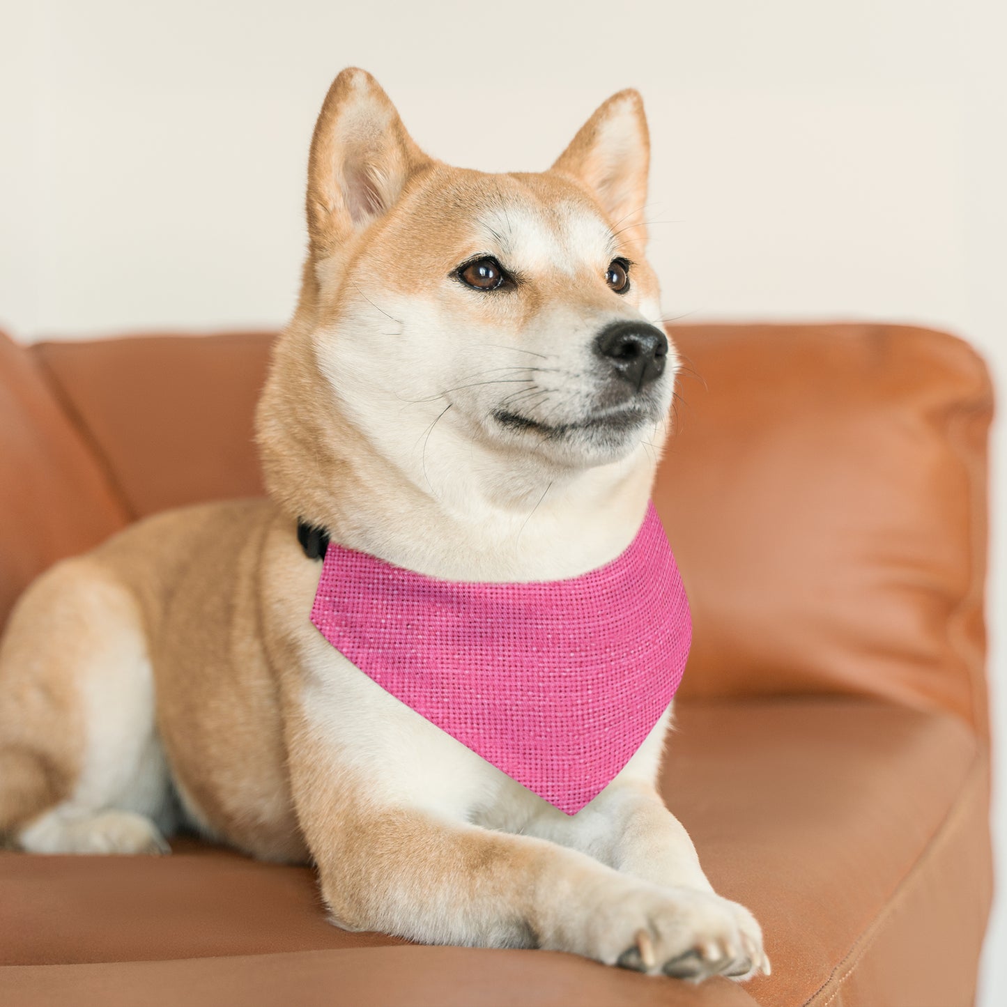 Doll-Like Pink Denim Designer Fabric Style - Pet Bandana Collar