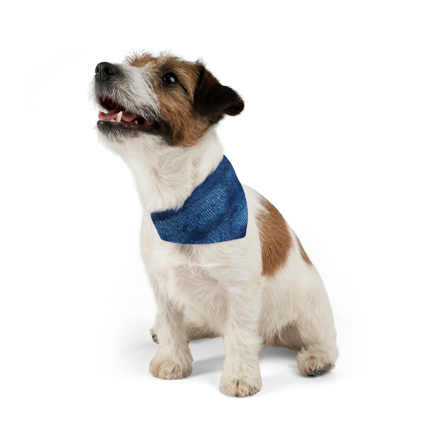 Blue Spectrum: Denim-Inspired Fabric Light to Dark - Dog & Pet Bandana Collar