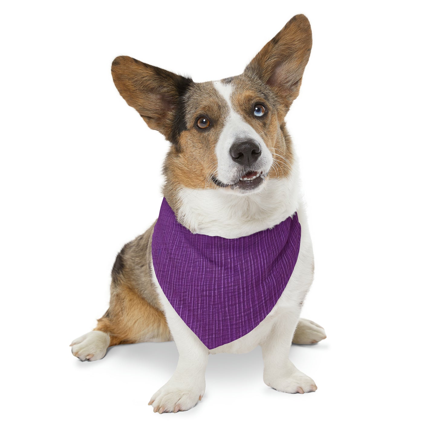 Violeta/Ciruela/Púrpura: Tela lujosa inspirada en la mezclilla - Collar tipo bandana para perros y mascotas 